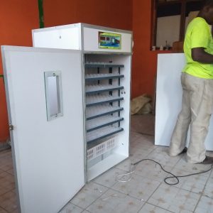 Alternative view of 528 Egg Fully Automatic Solar/Electric Incubator and Hatcher AC/DC Full-Hatcher/Half-hatcher