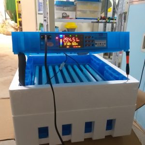Alternative view of 128 Egg Fully Automatic Solar/Electric Incubator and Hatcher AC/DC Full-Hatcher/Half-hatcher
