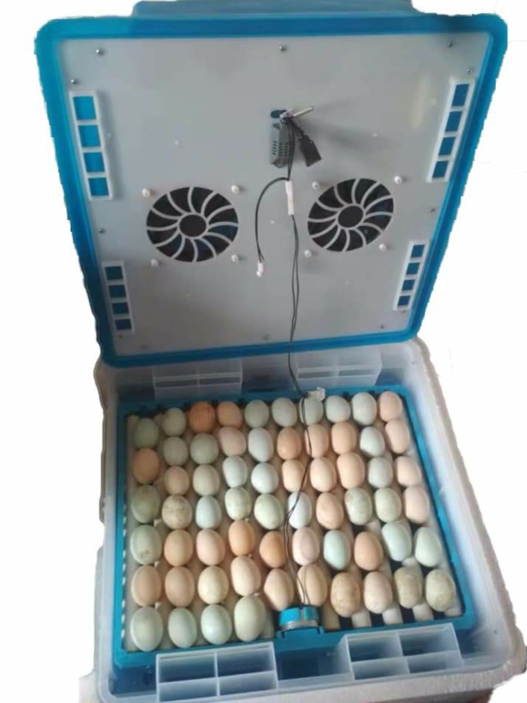 64 Egg Fully Automatic Solar/Electric Incubator and Hatcher AC/DC Full-Hatcher/Half-hatcher - Image 5
