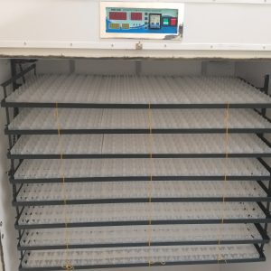 Alternative view of 1584 Egg Fully Automatic Solar/Electric Incubator and Hatcher AC/DC Full-Hatcher/Half-hatcher