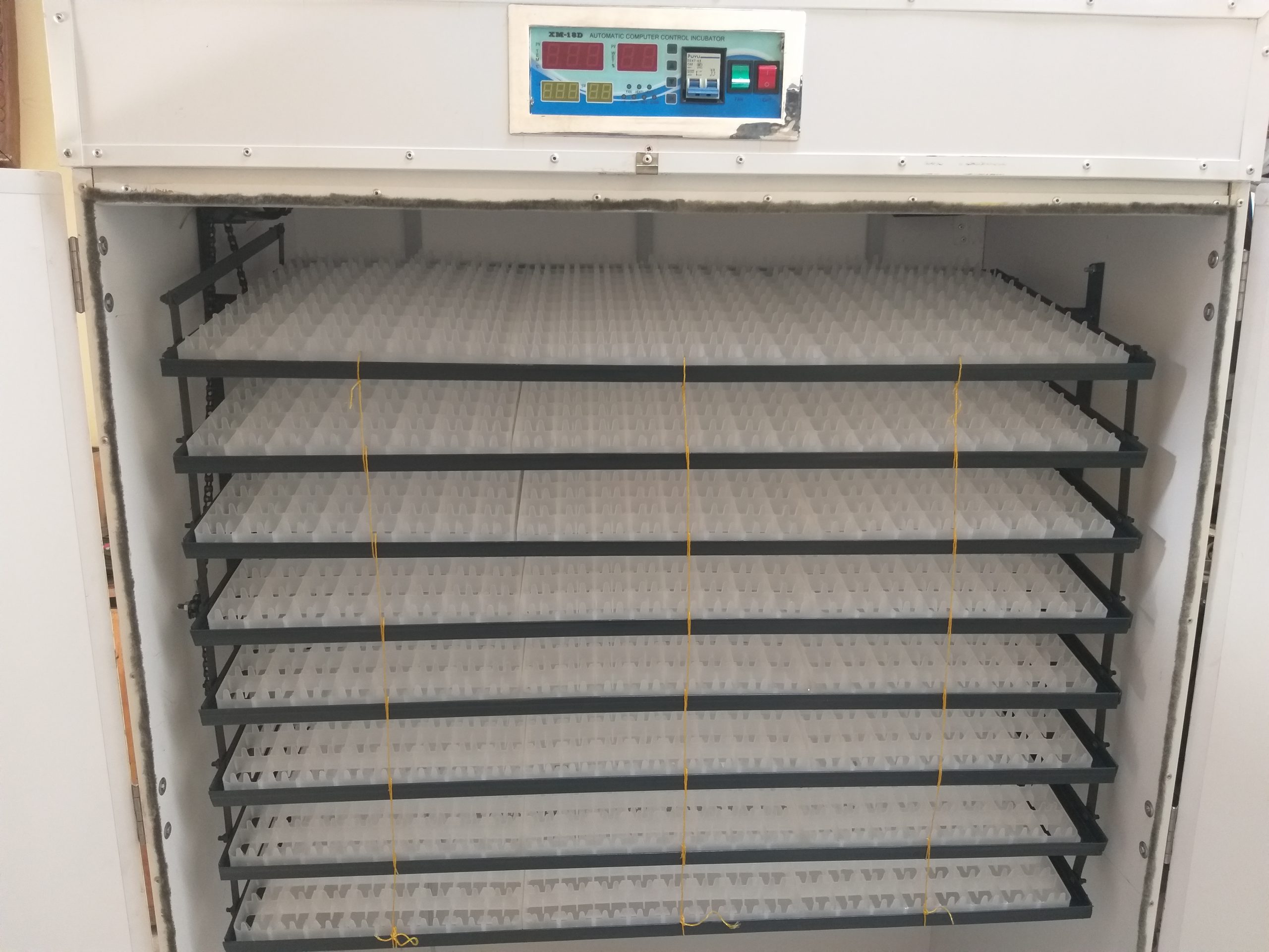 1584 Egg Fully Automatic Solar/Electric Incubator and Hatcher AC/DC Full-Hatcher/Half-hatcher - Image 2