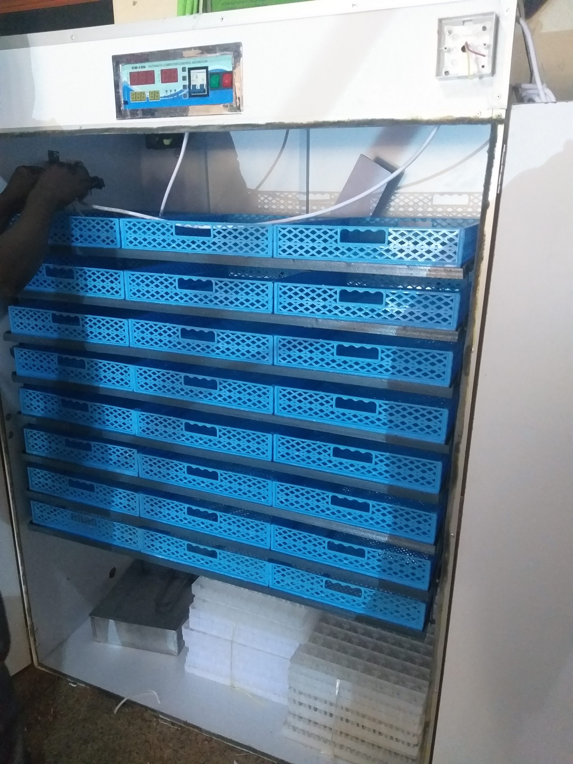 2112 Egg Fully Automatic Solar/Electric Incubator and Hatcher AC/DC Full-Hatcher/Half-hatcher - Image 5