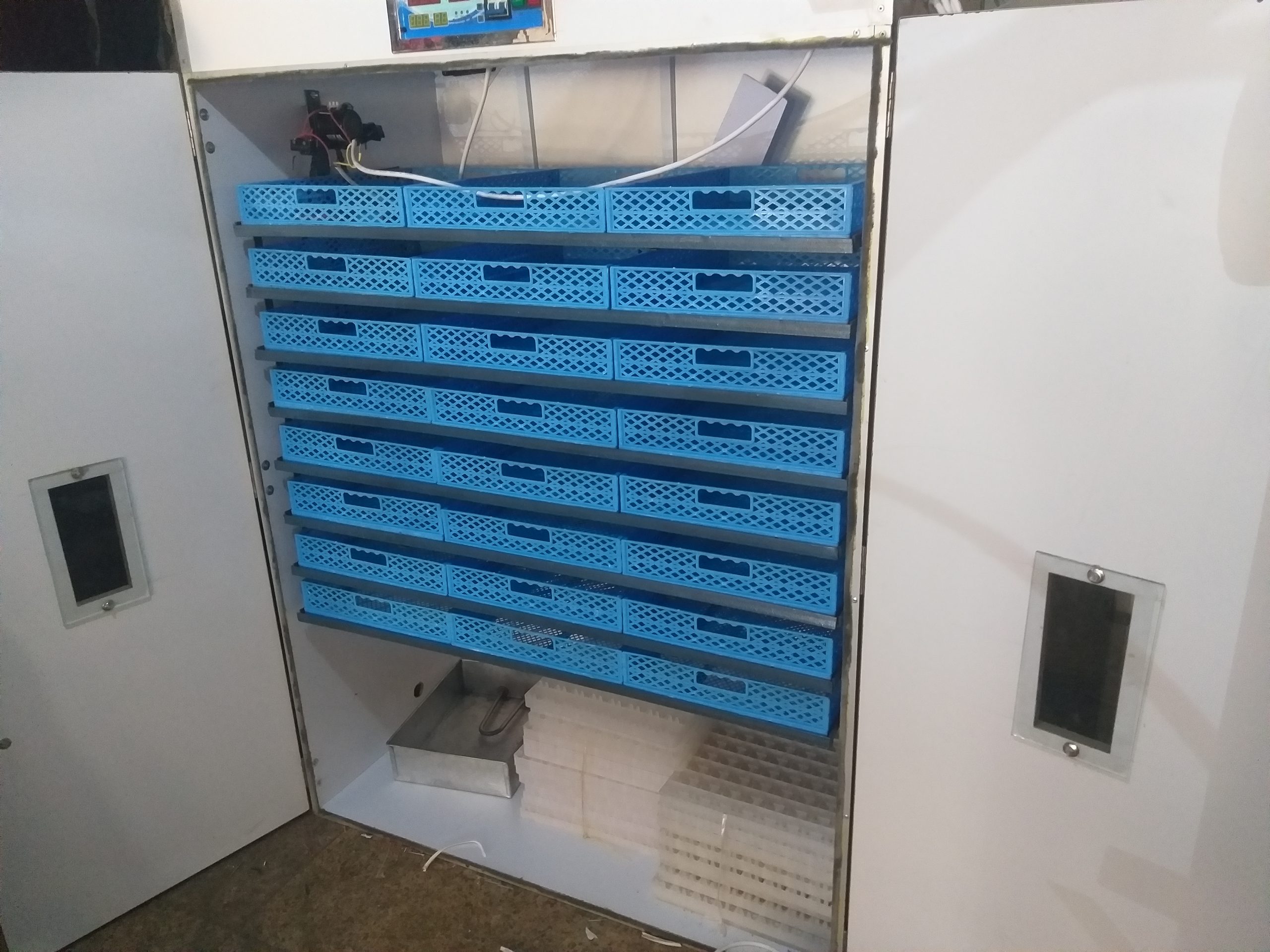 1584 Egg Fully Automatic Solar/Electric Incubator and Hatcher AC/DC Full-Hatcher/Half-hatcher - Image 3