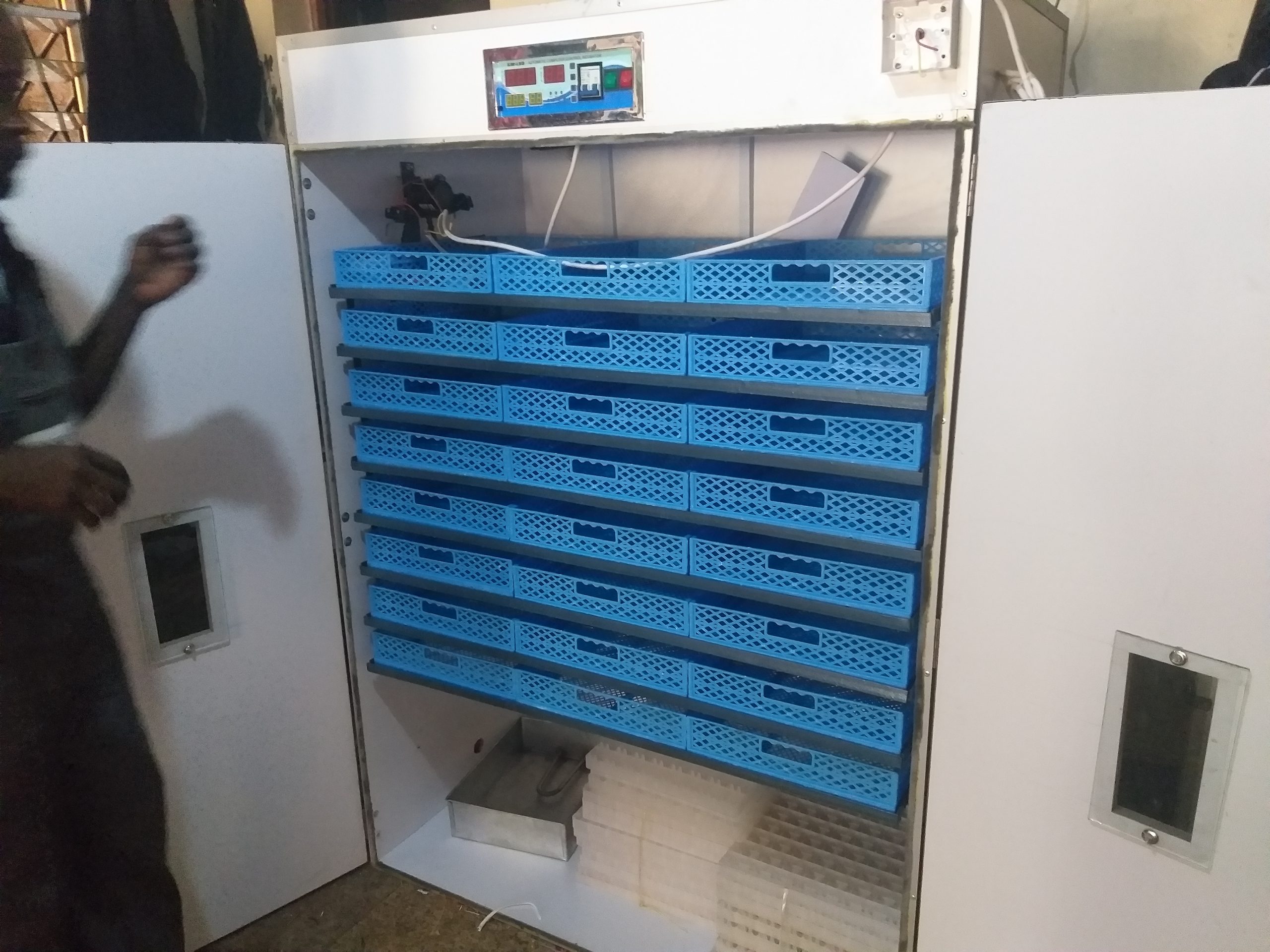 1584 Egg Fully Automatic Solar/Electric Incubator and Hatcher AC/DC Full-Hatcher/Half-hatcher - Image 4