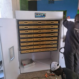 Alternative view of 2640 Egg Fully Automatic Solar/Electric Incubator and Hatcher AC/DC Full-Hatcher/Half-hatcher