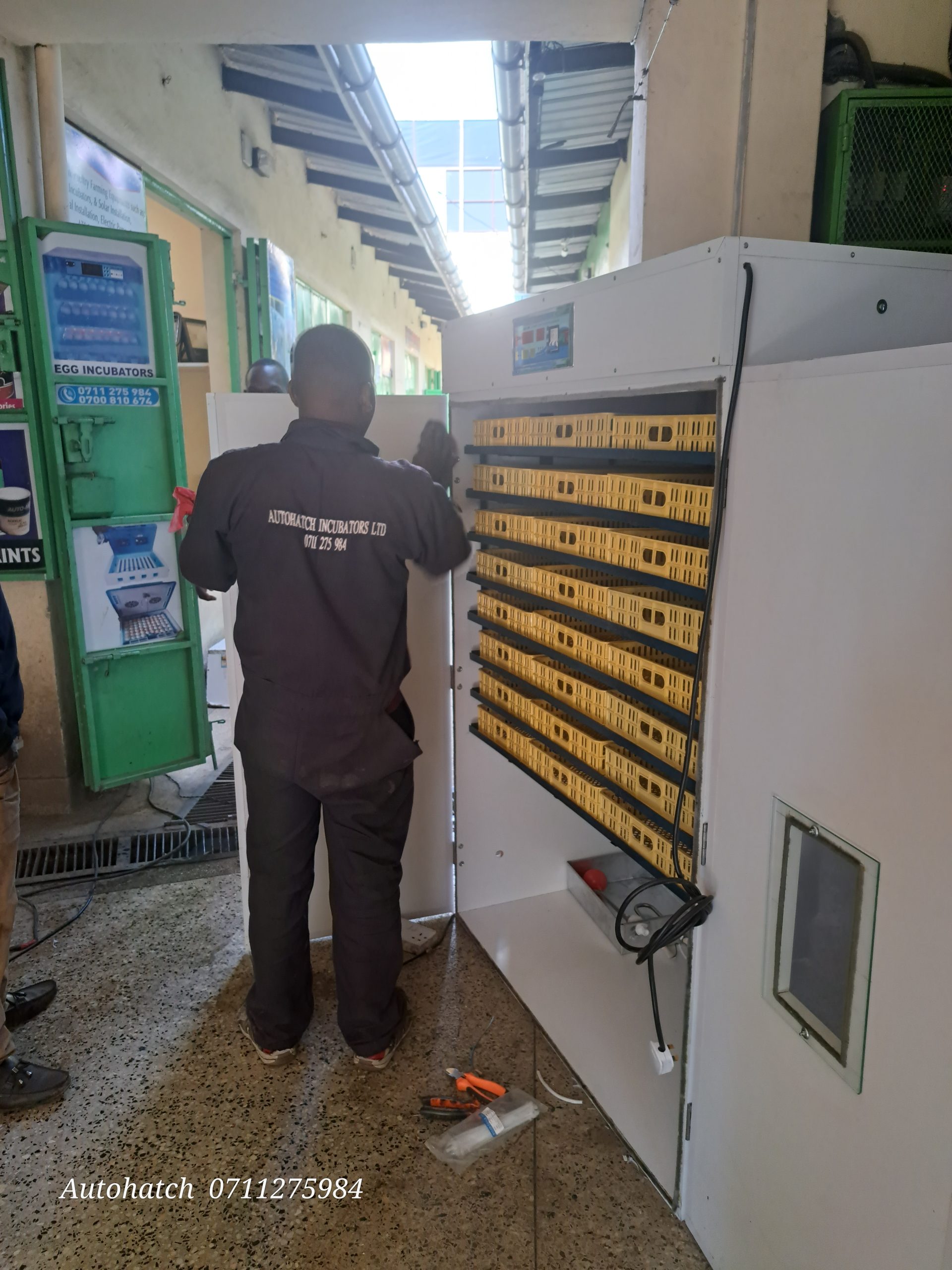 2640 Egg Fully Automatic Solar/Electric Incubator and Hatcher AC/DC Full-Hatcher/Half-hatcher - Image 4