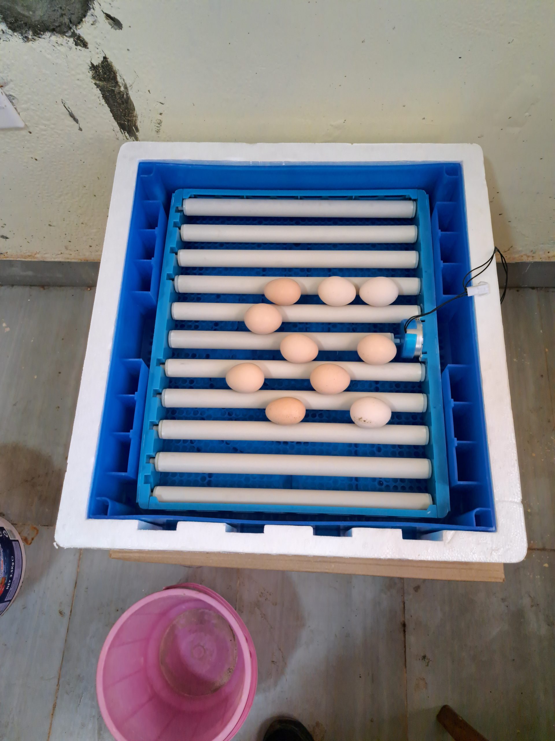 64 Egg Fully Automatic Solar/Electric Incubator and Hatcher AC/DC Full-Hatcher/Half-hatcher - Image 7