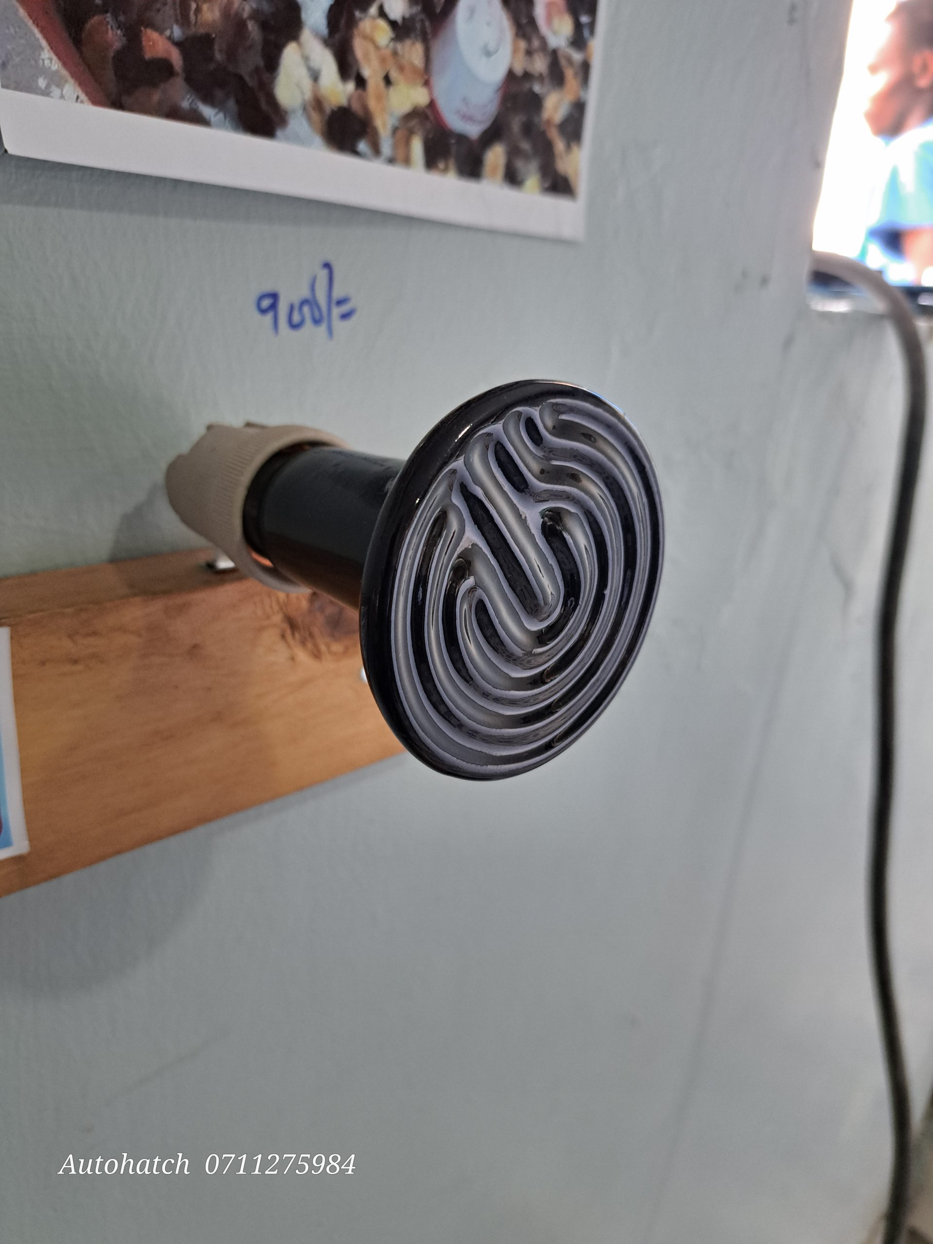 250W Brooder Heater Bulbs (Infrared & Ceramic | 220V | Poultry Brooder Heat Lamp) - Image 2