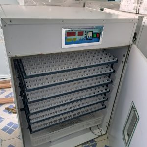 1232 Egg Fully Automatic Solar/Electric Incubator and Hatcher AC/DC Full-Hatcher/Half-hatcher