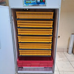 528 Egg Fully Automatic Solar/Electric Incubator and Hatcher AC/DC Full-Hatcher/Half-hatcher