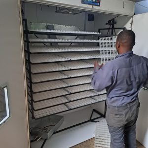 5280 Egg Fully Automatic Solar/Electric Incubator and Hatcher AC/DC Full-Hatcher/Half-hatcher