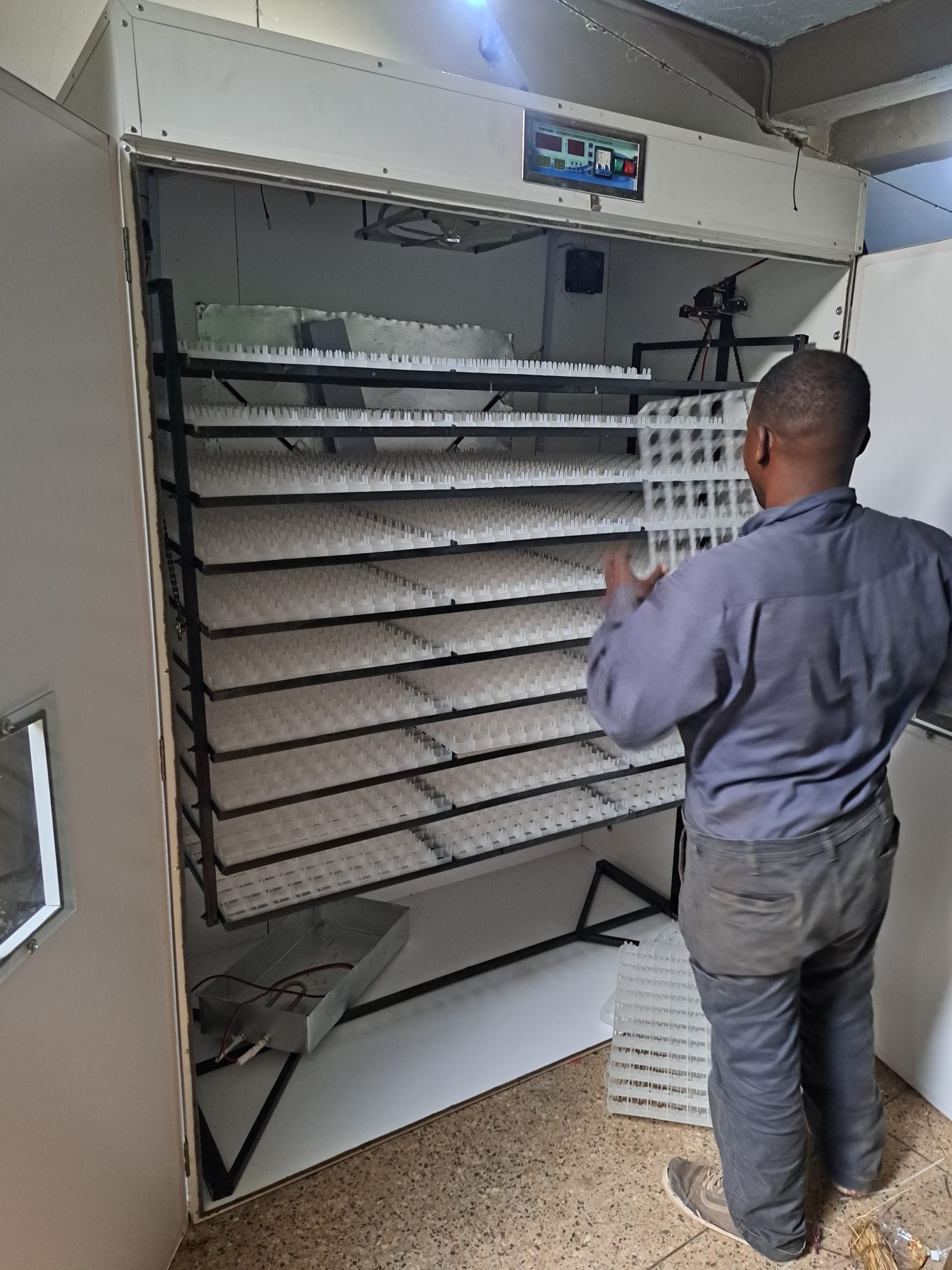 5280 Egg Fully Automatic Solar/Electric Incubator and Hatcher AC/DC Full-Hatcher/Half-hatcher