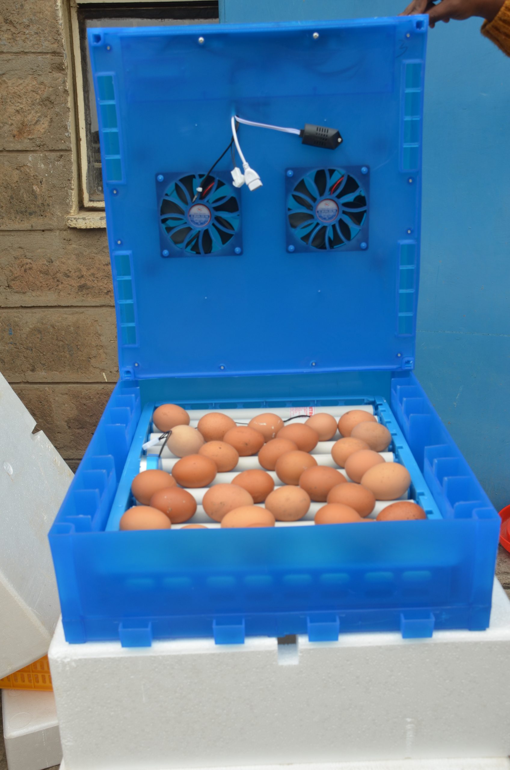 128 Egg Fully Automatic Solar/Electric Incubator and Hatcher AC/DC Full-Hatcher/Half-hatcher - Image 7