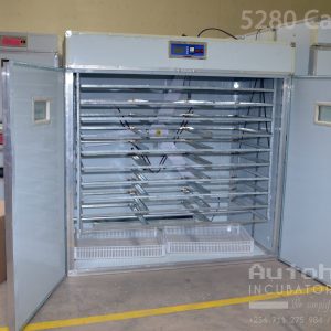 1584 Egg Fully Automatic Solar/Electric Incubator and Hatcher AC/DC Full-Hatcher/Half-hatcher