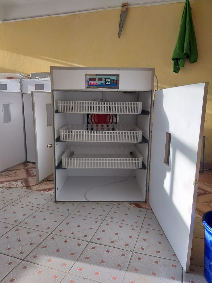 1056 Egg Fully Automatic Solar/Electric Incubator and Hatcher AC/DC Full-Hatcher/Half-hatcher - Image 6