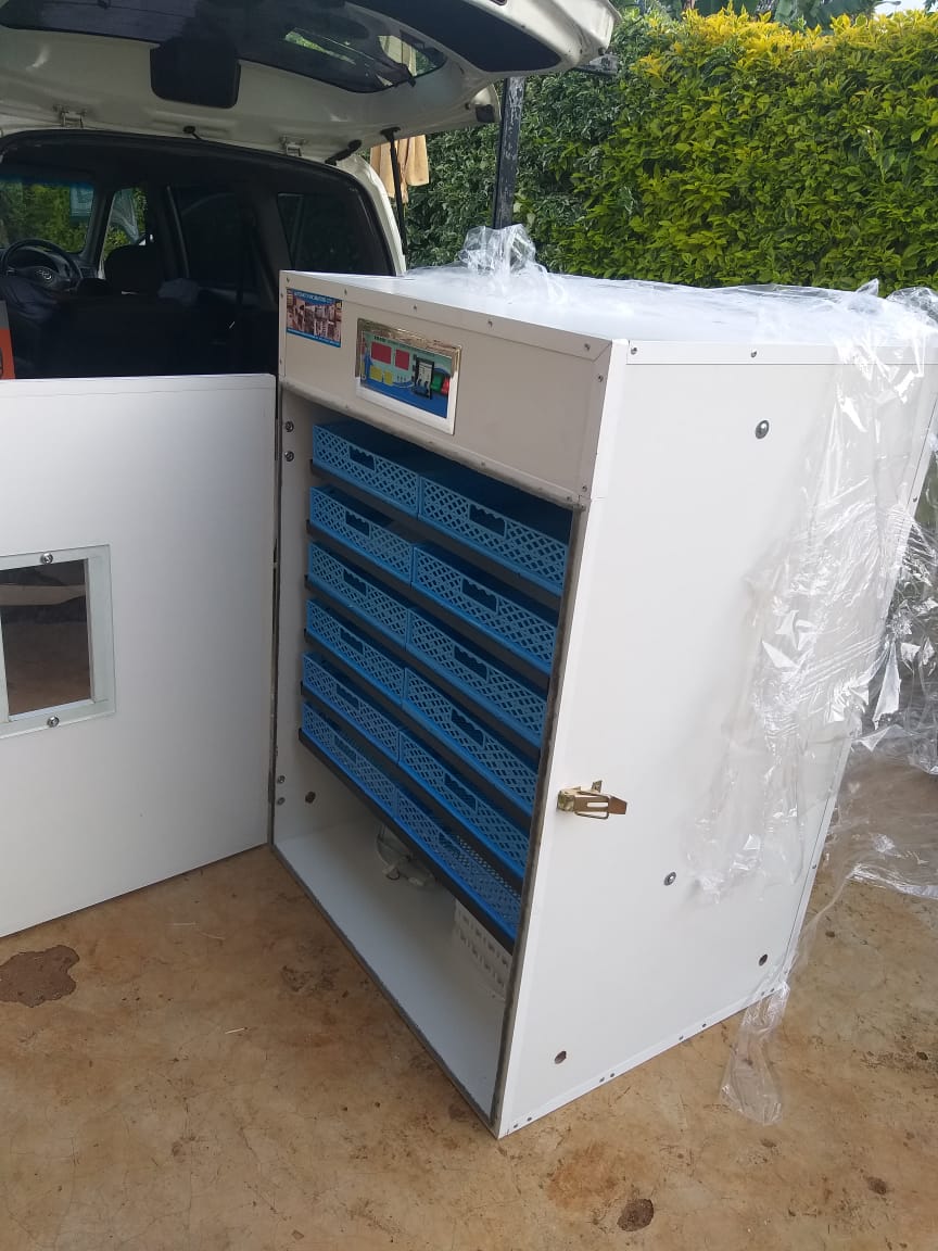 1056 Egg Fully Automatic Solar/Electric Incubator and Hatcher AC/DC Full-Hatcher/Half-hatcher