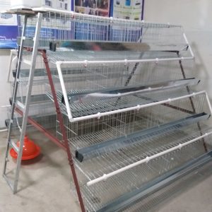 Automatic Poultry Farm Laying Hens Used Layer Battery Chicken Cage Farm Multifunctional Provided Chicken Coop Chicken House H Type and A Type