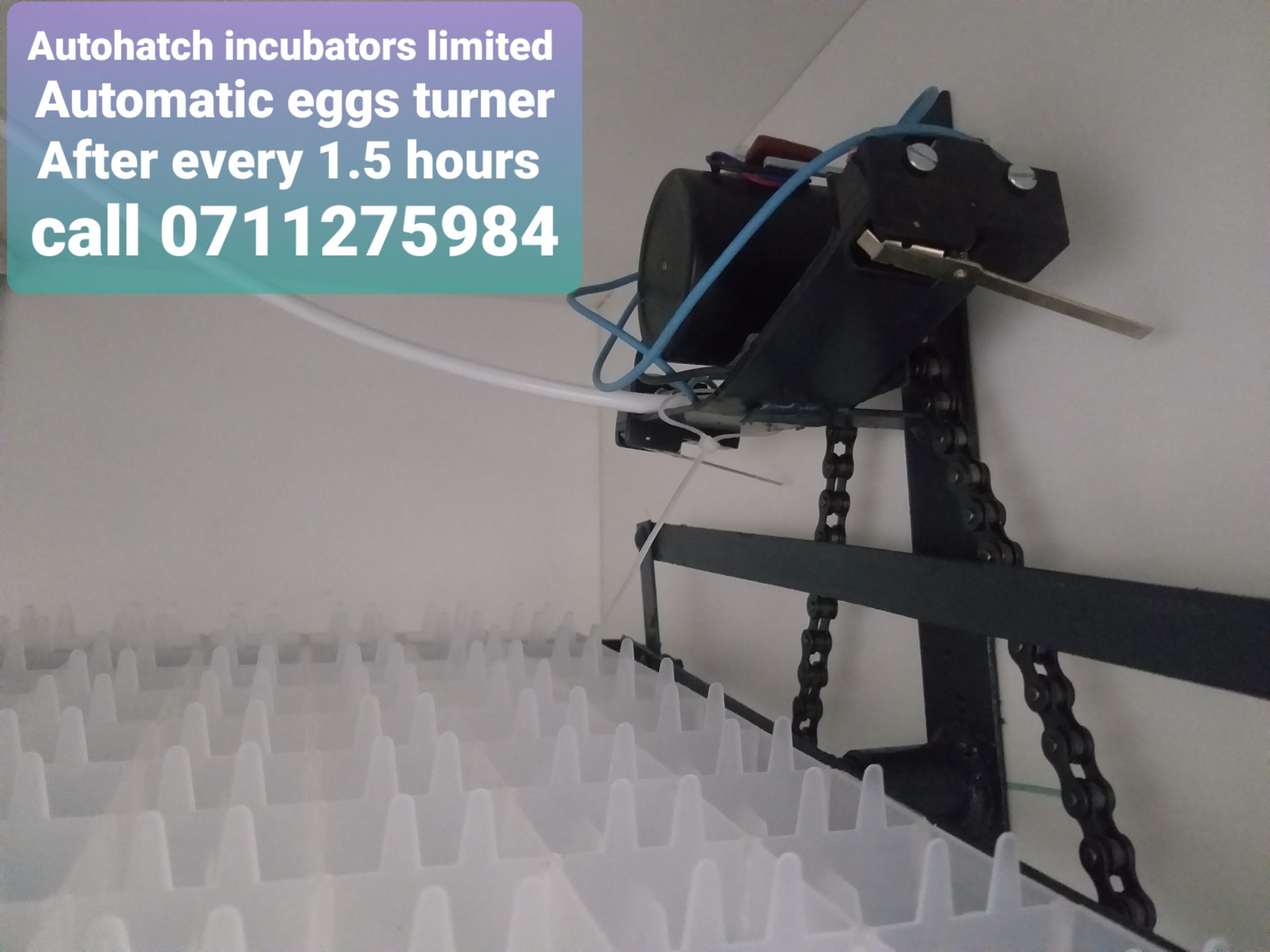 INCUBATOR SYNCHRONIZING MOTOR (60KTYZ) — EGG TURNING MOTOR 220–240V | 2.5 r/min | 14W | Automatic Egg Tilting Motor - Image 4