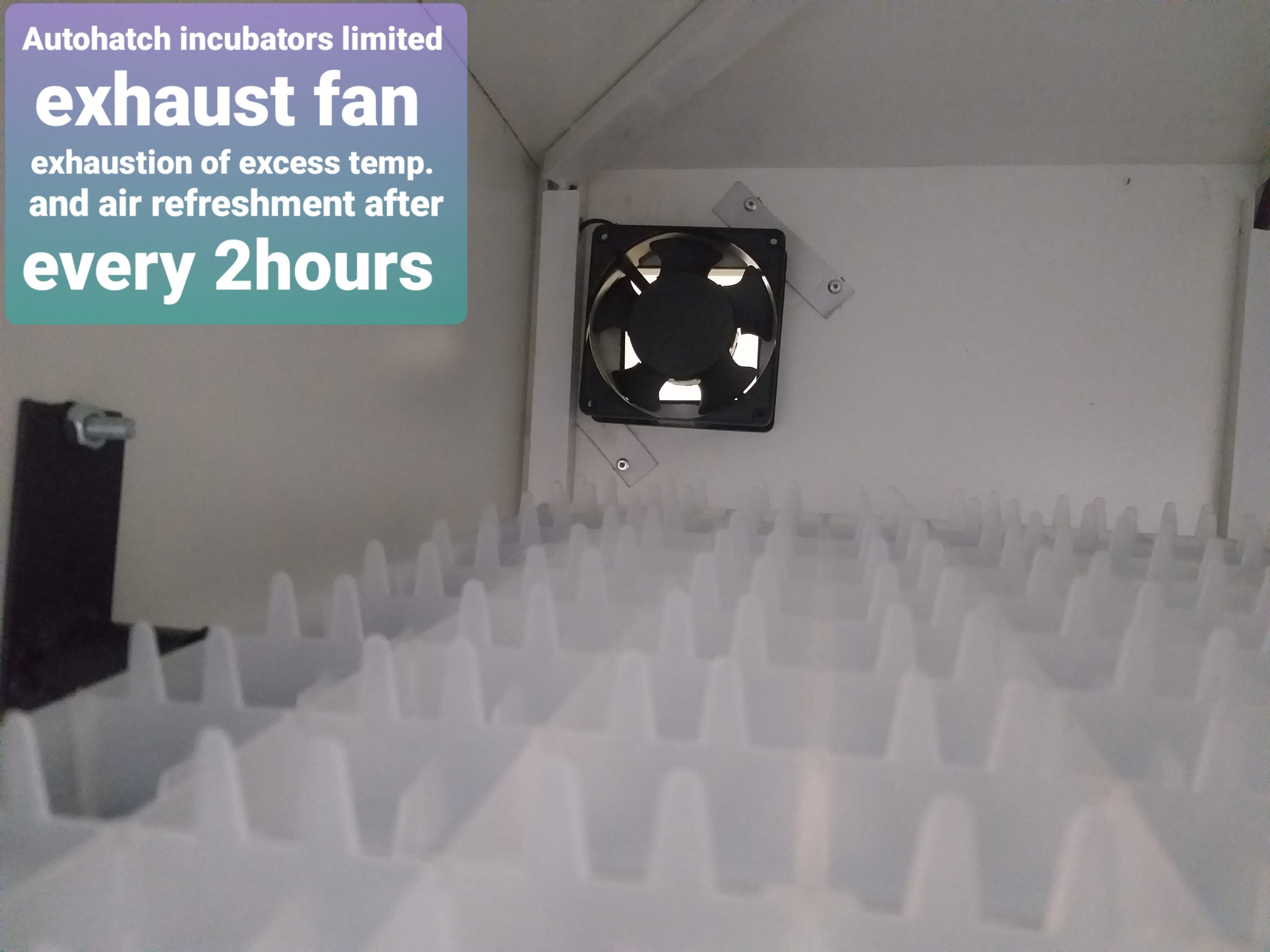 High-Capacity 88-Egg Setter Tray – Durable Egg Holding Tray for Incubators - Image 3