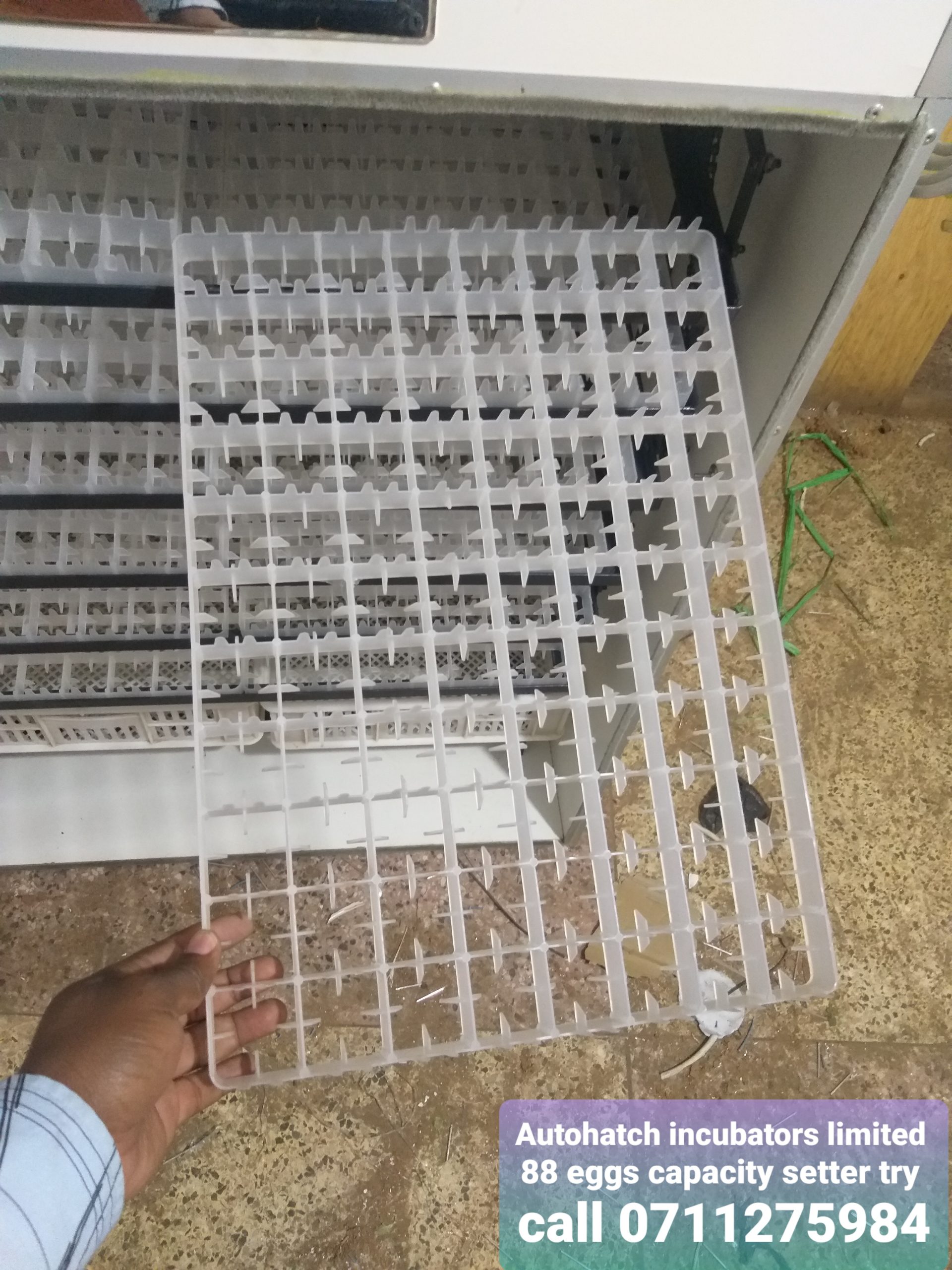 High-Capacity 88-Egg Setter Tray – Durable Egg Holding Tray for Incubators - Image 4