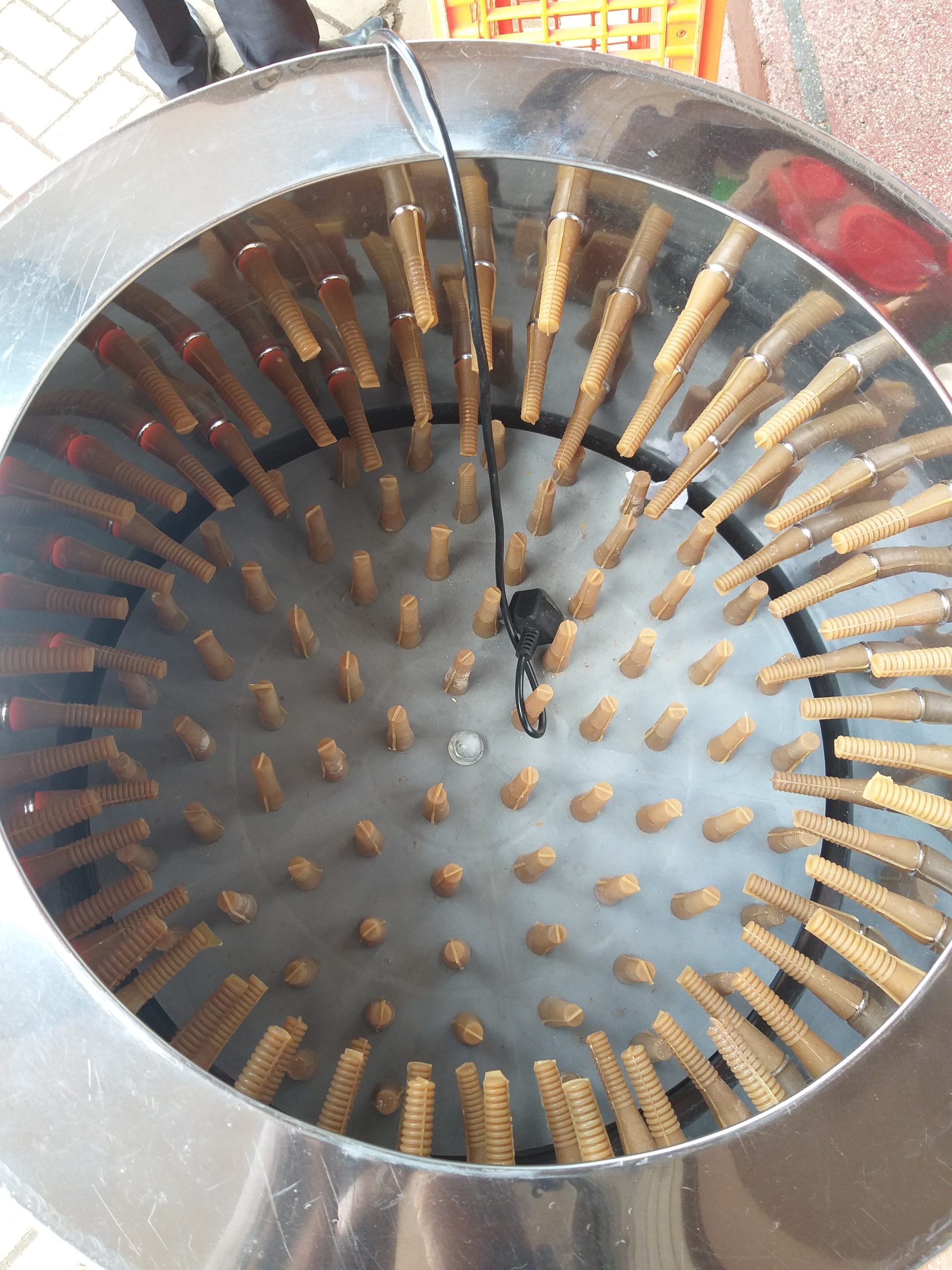 Autohatch Chicken plucker machine - Image 3