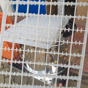 Alternative view of High-Capacity 88-Egg Setter Tray – Durable Egg Holding Tray for Incubators