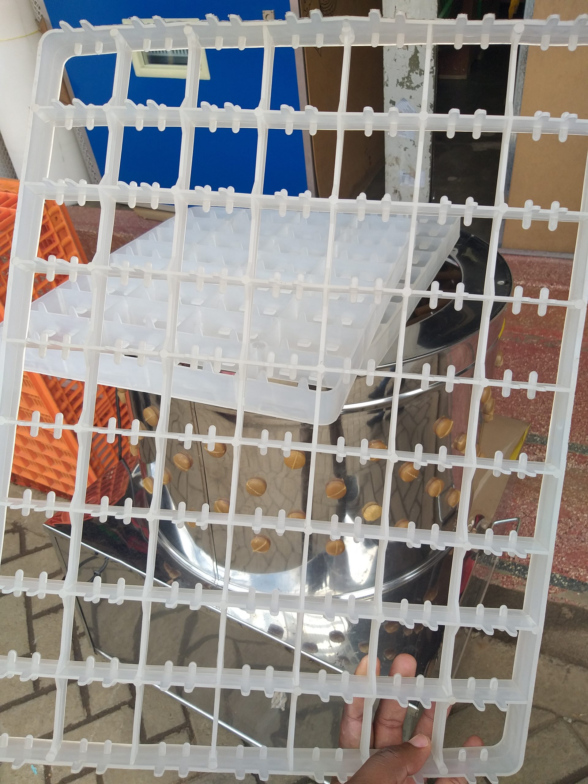 High-Capacity 88-Egg Setter Tray – Durable Egg Holding Tray for Incubators