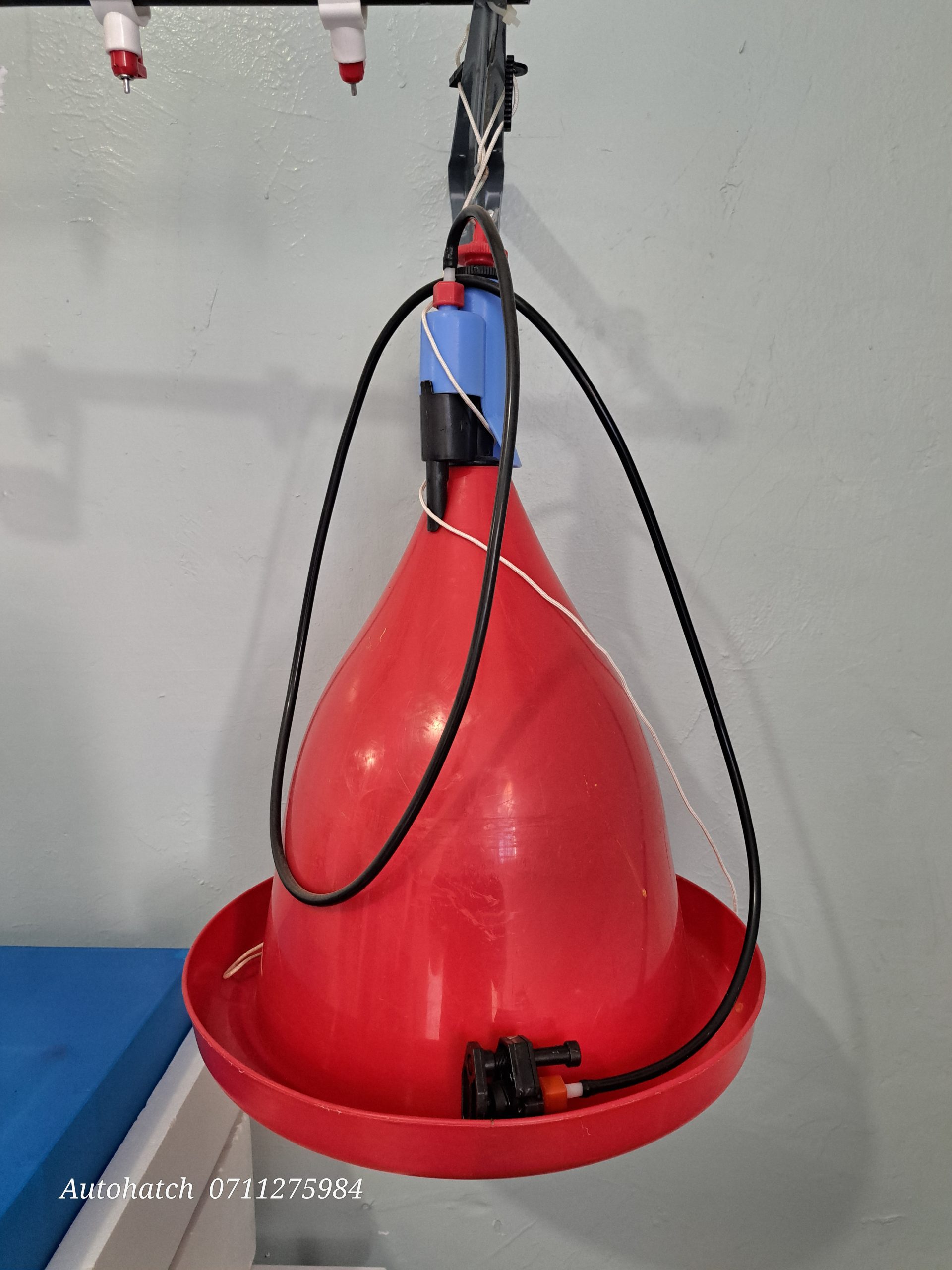 Plastic Poultry Chicken Plasson Bell Drinker